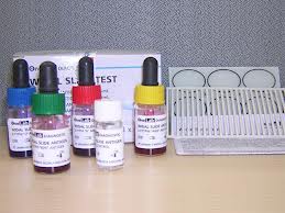 Reagen Test Golongan Darah